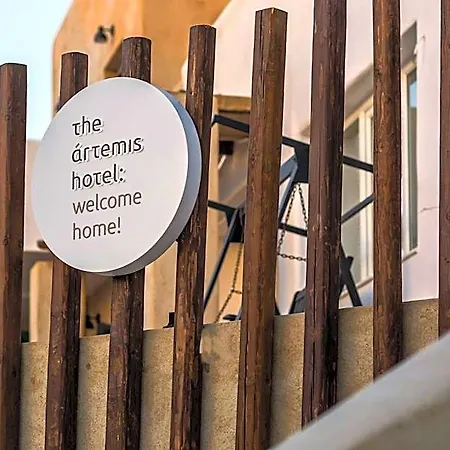 Hotel The Artemis Agia Anna (Naxos)